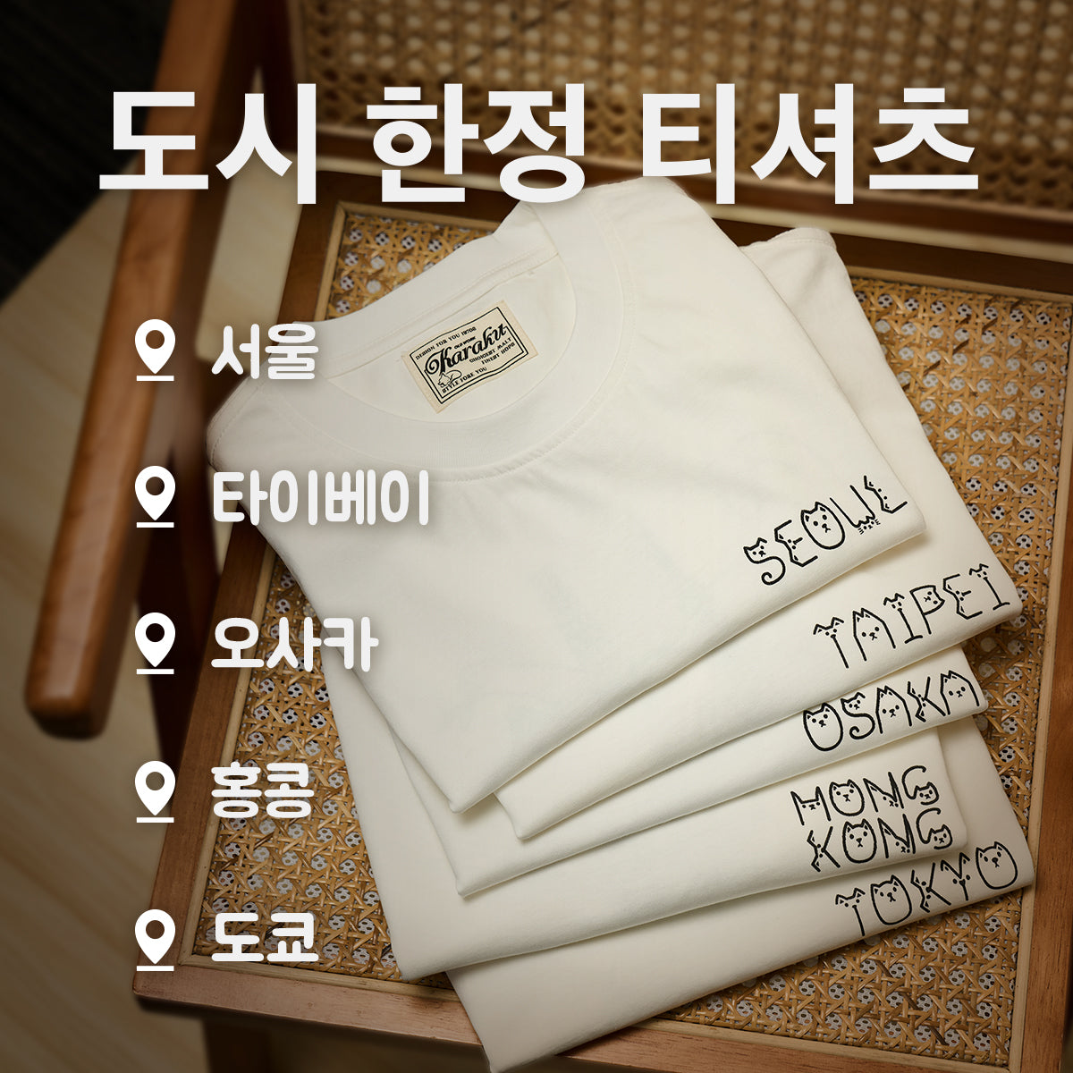 고양이가 세게 지배자가 된다면